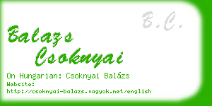 balazs csoknyai business card